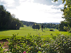 Golfplatz Grünbach