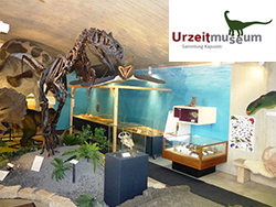 Urzeitmuseum 
