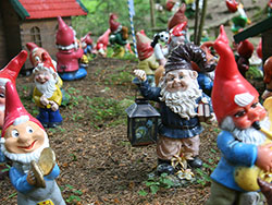 Zwergerlwald